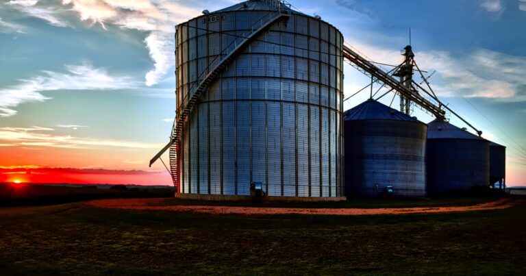 Soterramento em silo de grãos: direitos do trabalhador e da família