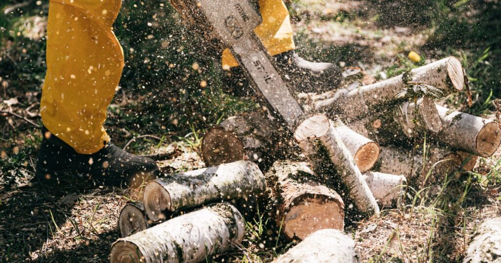 Acidente com motosserra no trabalho: corte grave, seus direitos